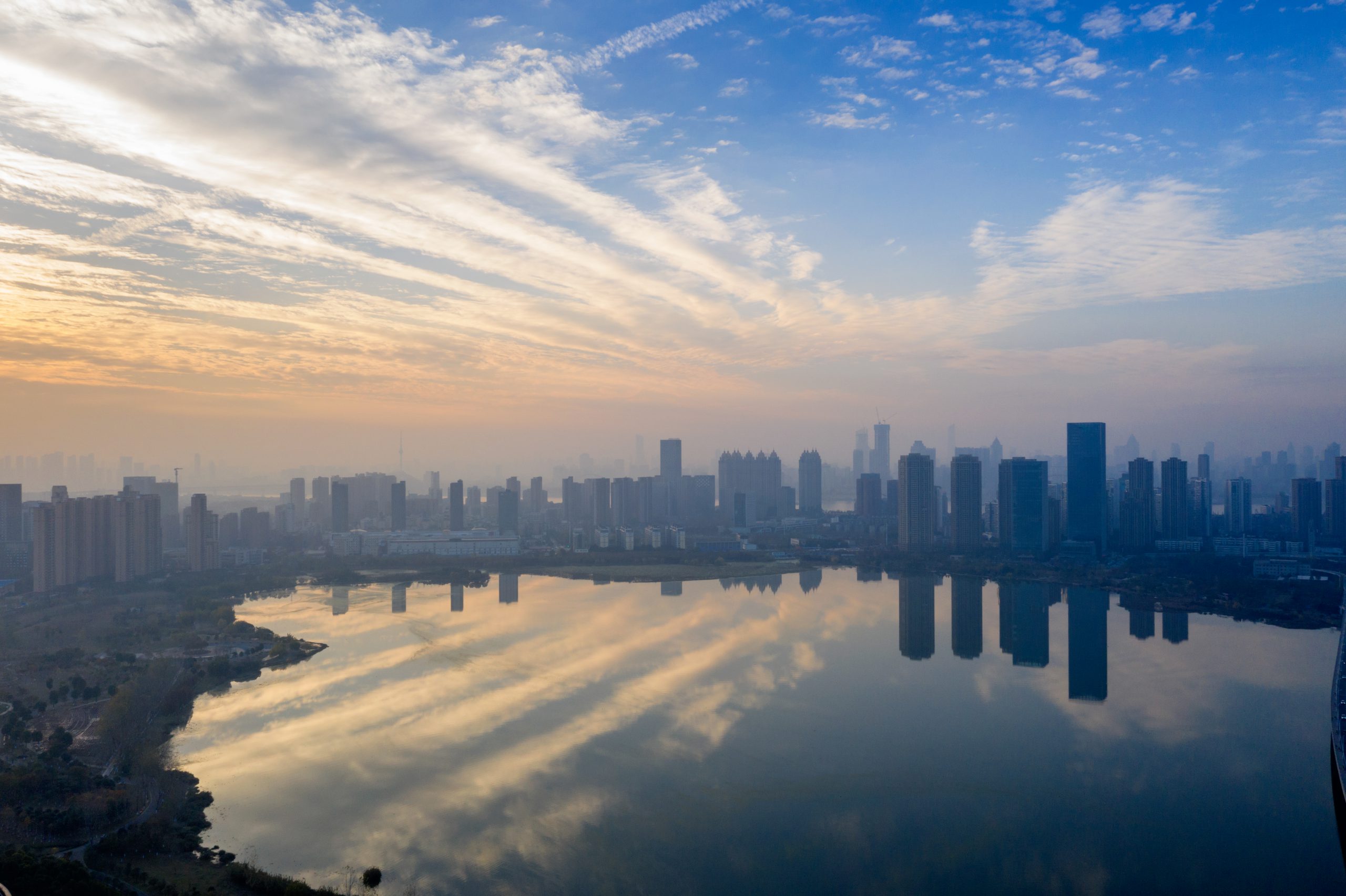 事業内容 株式会社Plus one